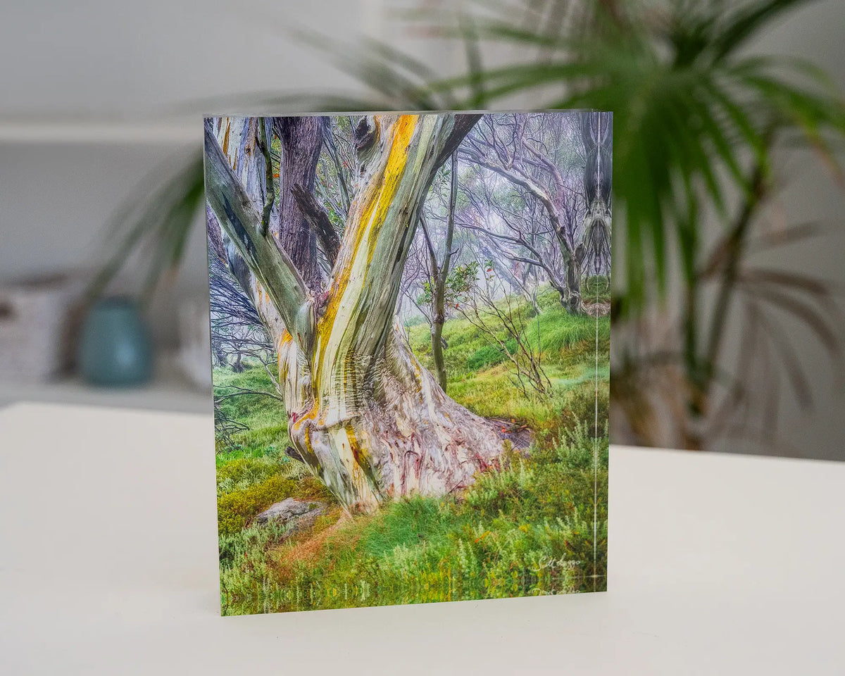 Resistance. Acrylic block Kosciuszko snow gum, styled on a desk.