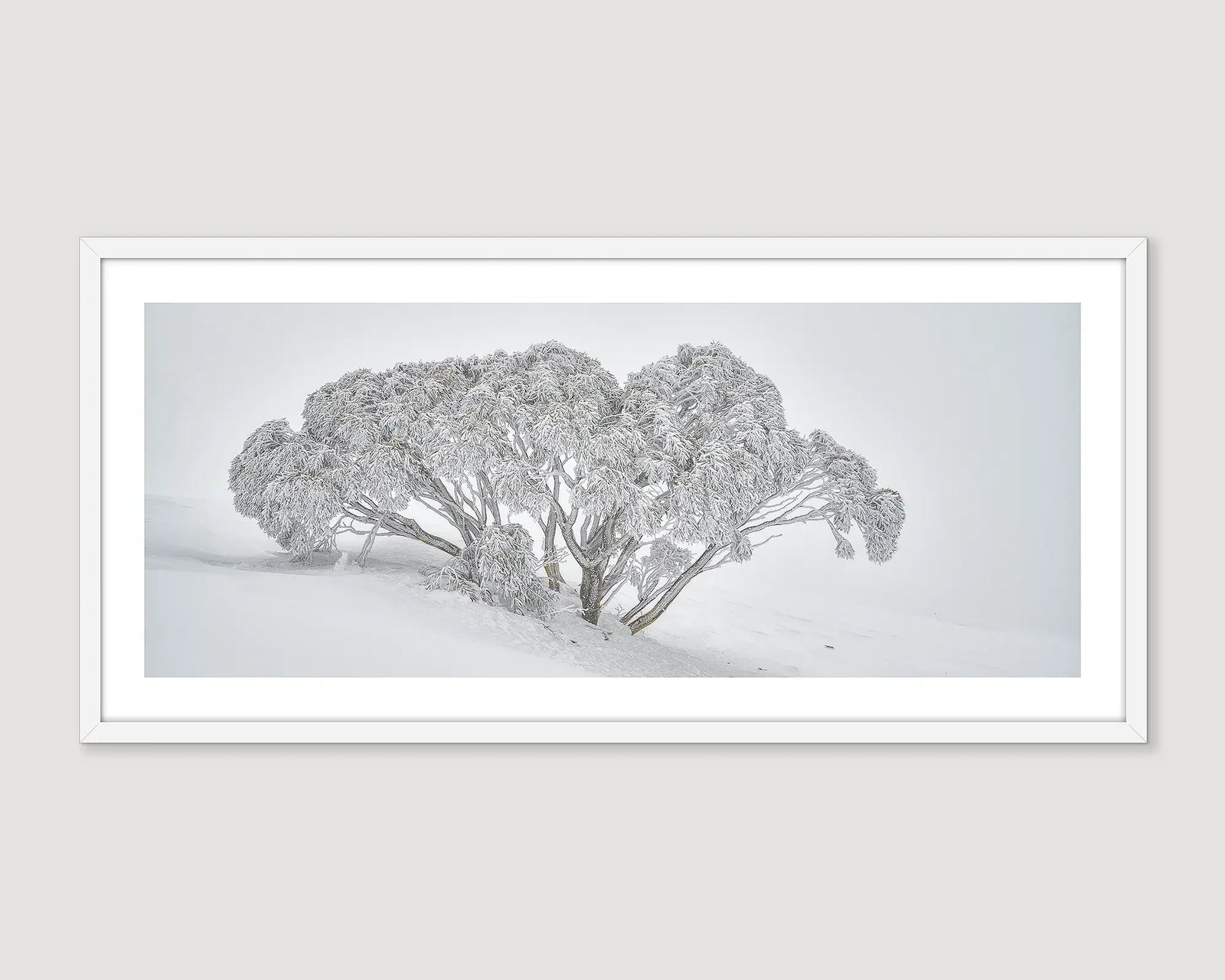 Framed grey and white landscape photograph of a snow gum in heavy snow.
