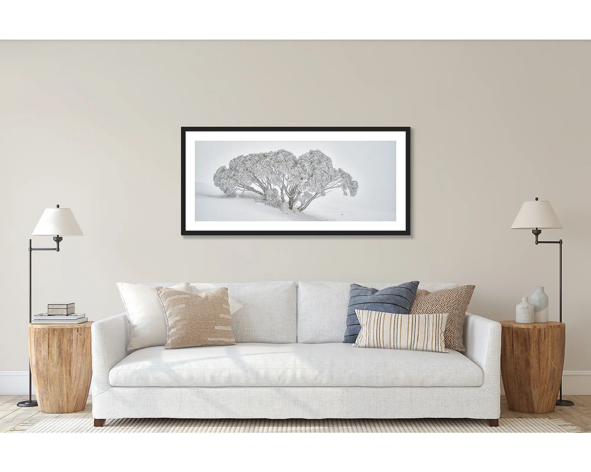 Revealed. Wall art print of a snow gum in snow, framed with a black frame and hung above a couch. 