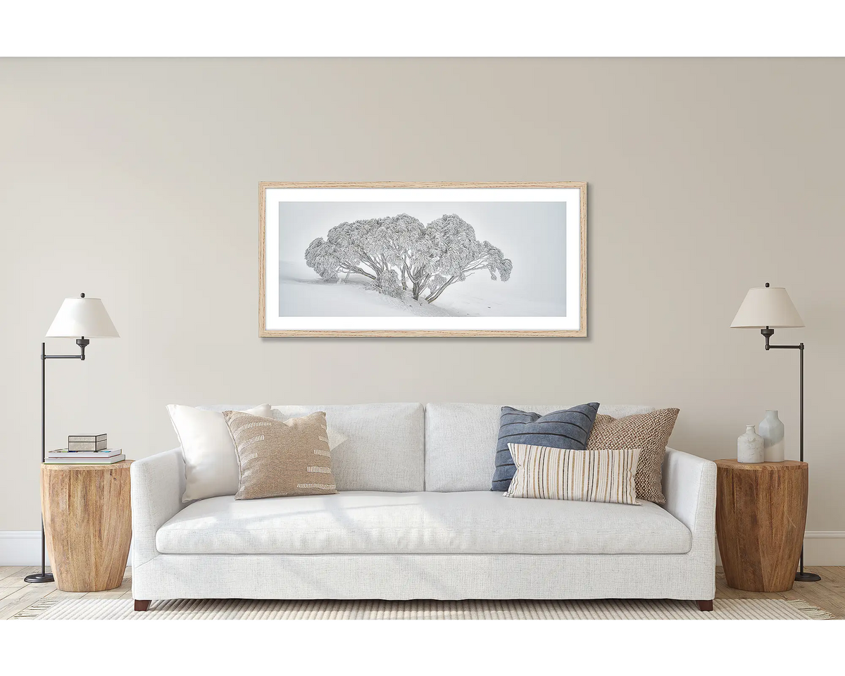 Revealed. Wall art print of a snow gum in snow, framed with a Tasmanian Oak frame and hung above a couch. 