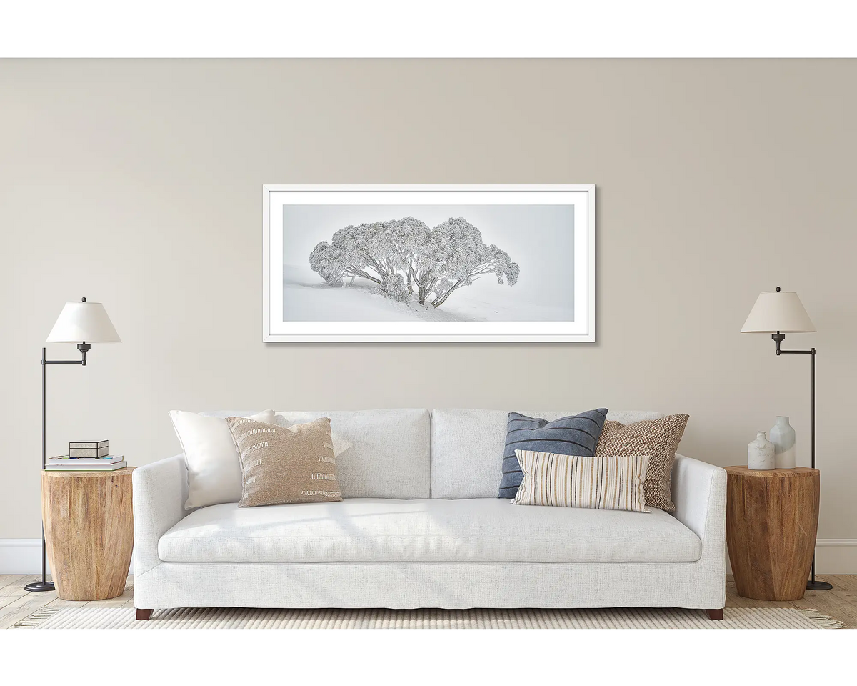 Revealed. Wall art print of a snow gum in snow, framed with a white frame and hung above a couch. 