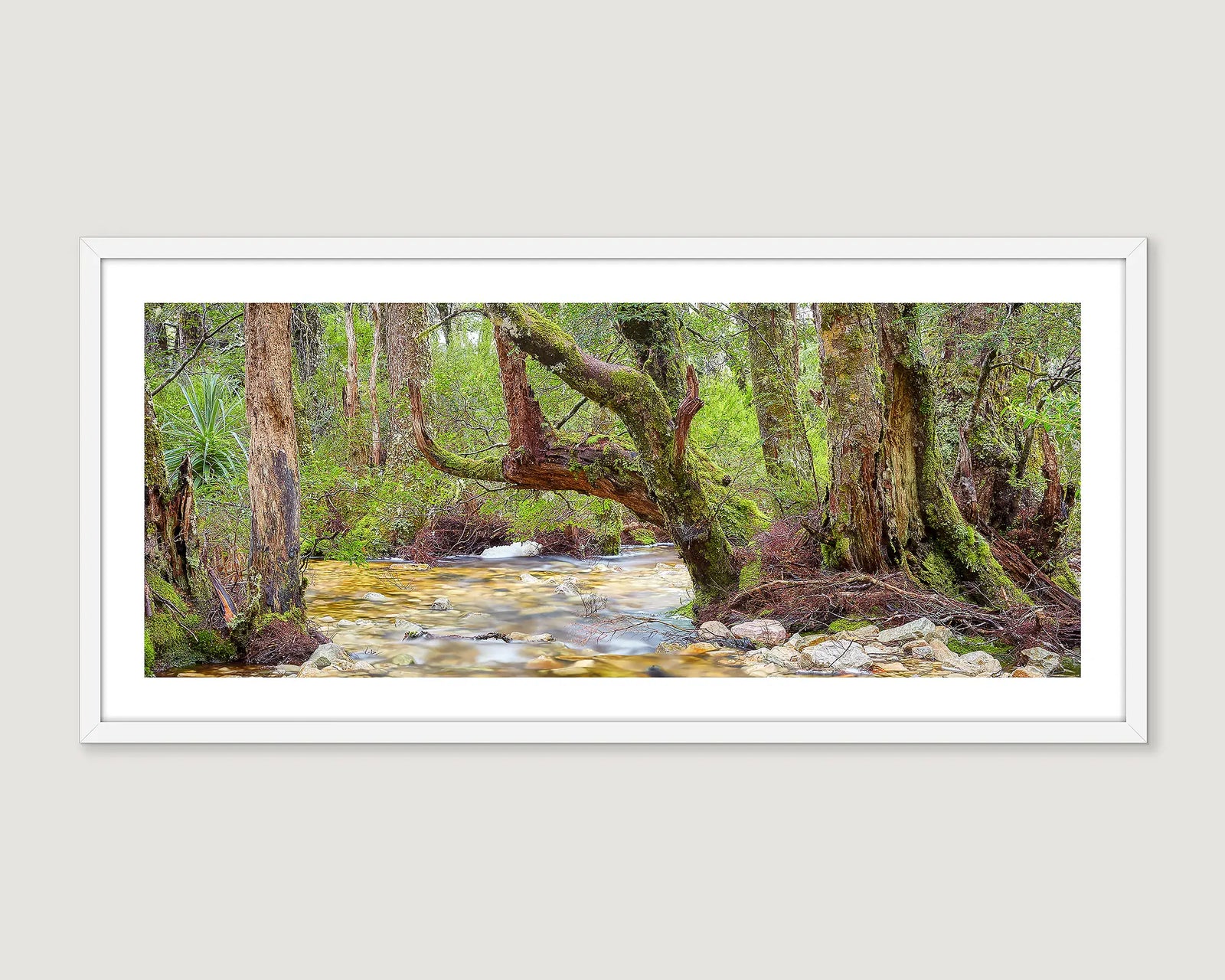 Framed photograph of a rocky creek running through a forest at the Cradle Mountain-Lake St Clair National Park.