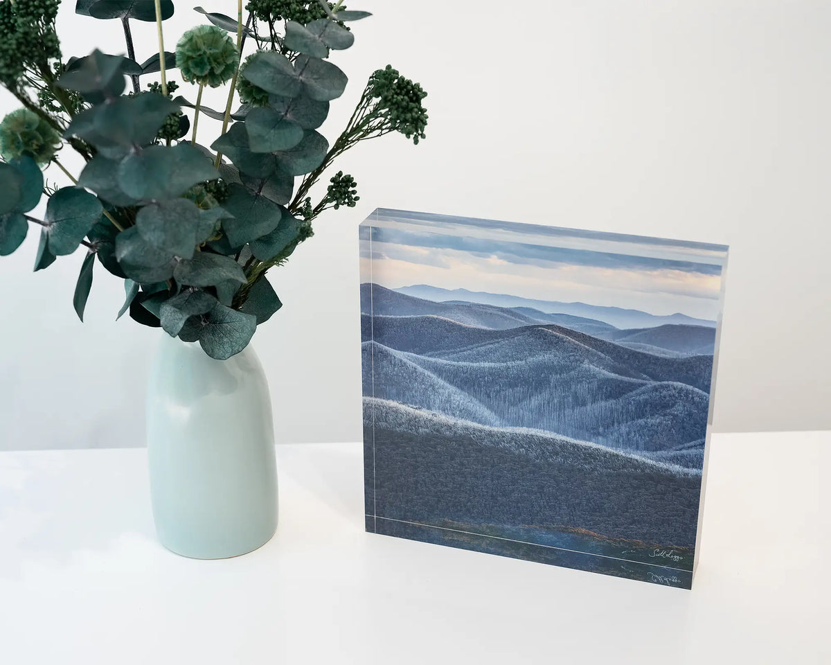 Rise And Fall. Acrylic block ranges across Victorian High Country, with floral arrangement.