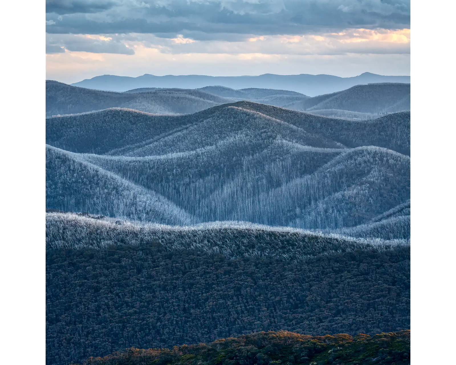 Rise and Fall. Ranges across Victorian High Country.