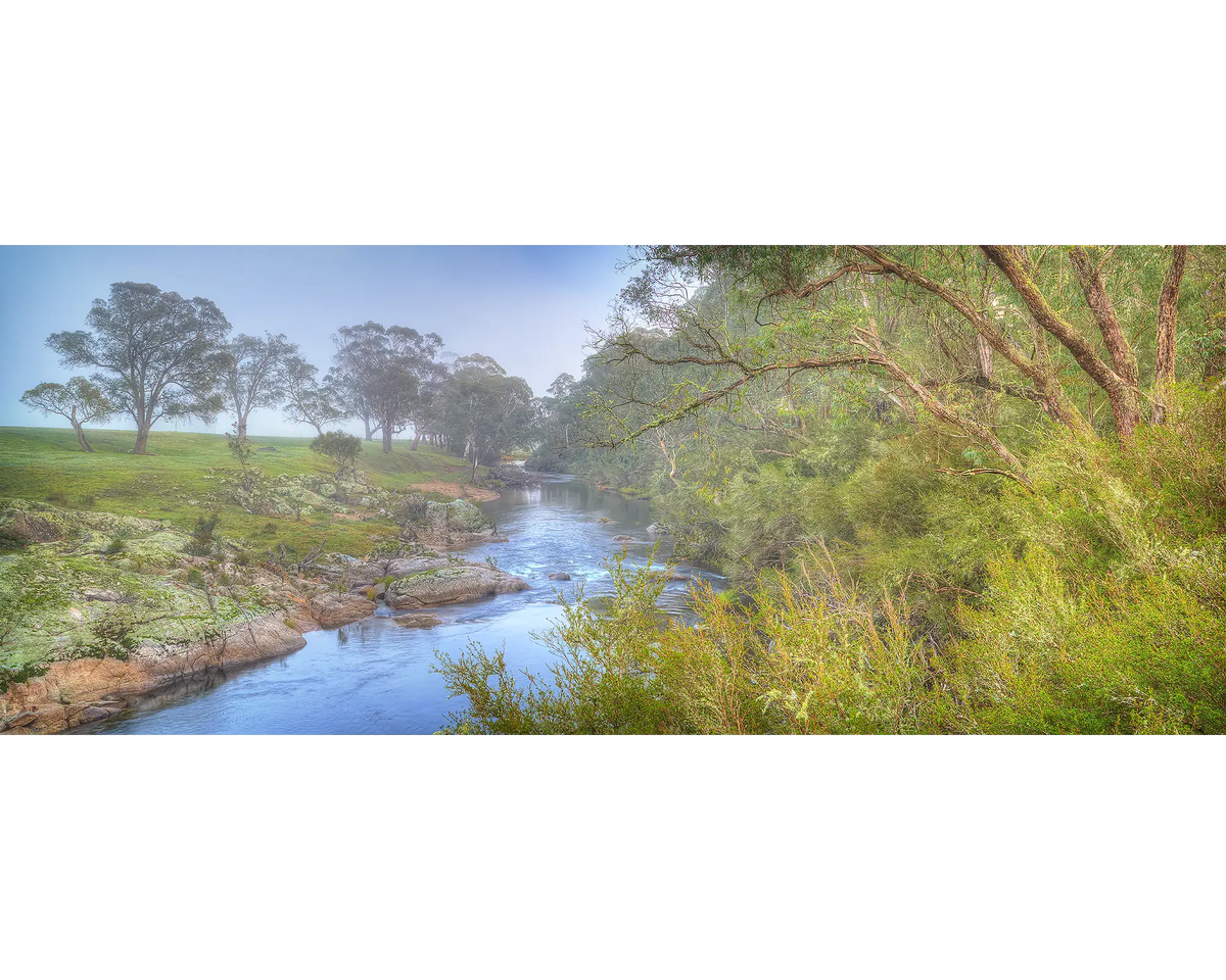 Riverside Veil. Morning fog over the Murray River, New South Wales, Australia.