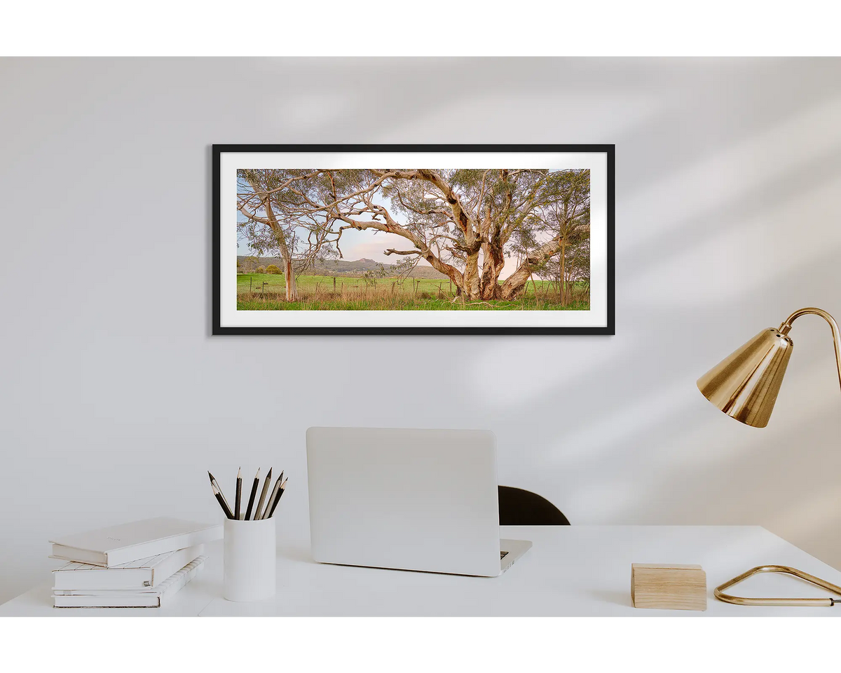 Roadside Beauty. Wall art print of a snow gum beside a country road, framed with a black frame and hung above a desk. 