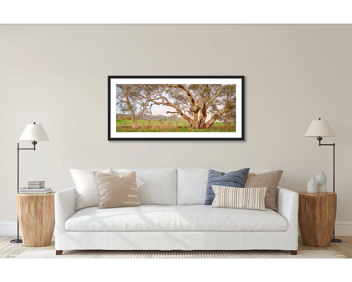 Roadside Beauty. Wall art print of a snow gum beside a country road, framed with a black frame and hung above a lounge room couch. 