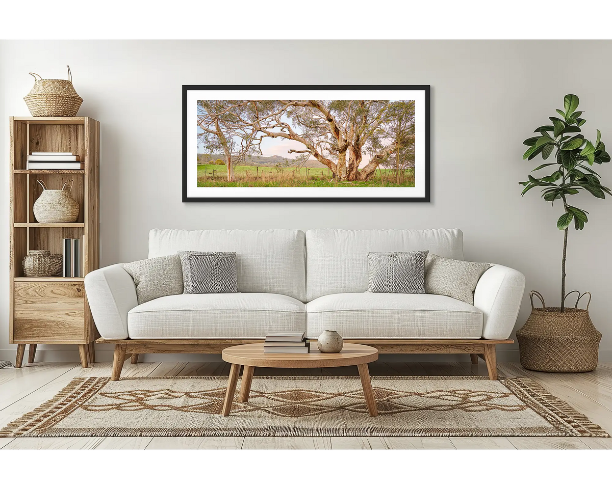 Roadside Beauty. Wall art print of a snow gum beside a country road, framed with a black frame and hung in a living room. 