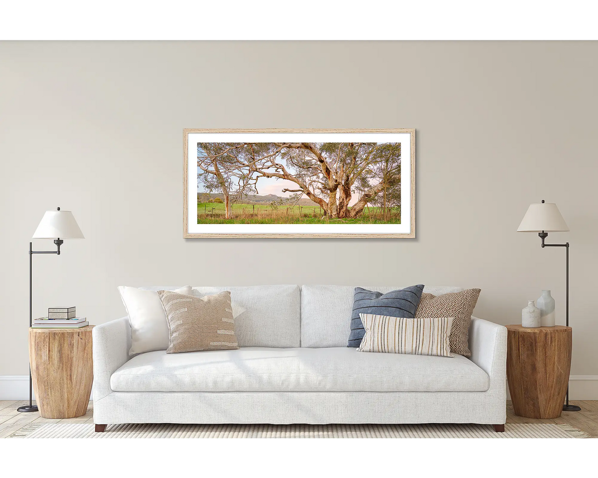 Roadside Beauty. Wall art print of a snow gum beside a country road, framed with a timber frame and hung above a lounge room couch. 
