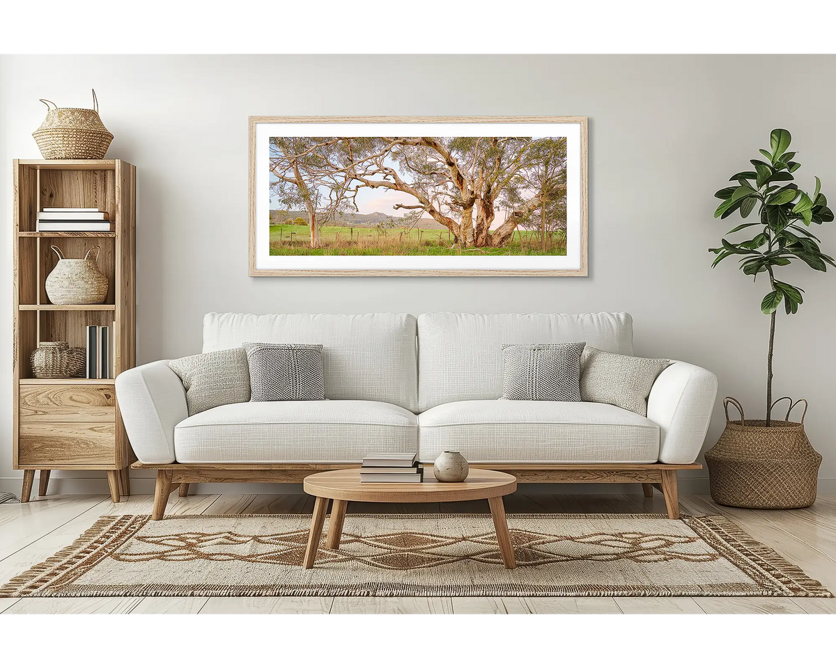 Roadside Beauty. Wall art print of a snow gum beside a country road, framed with a timber frame and hung in a living room. 