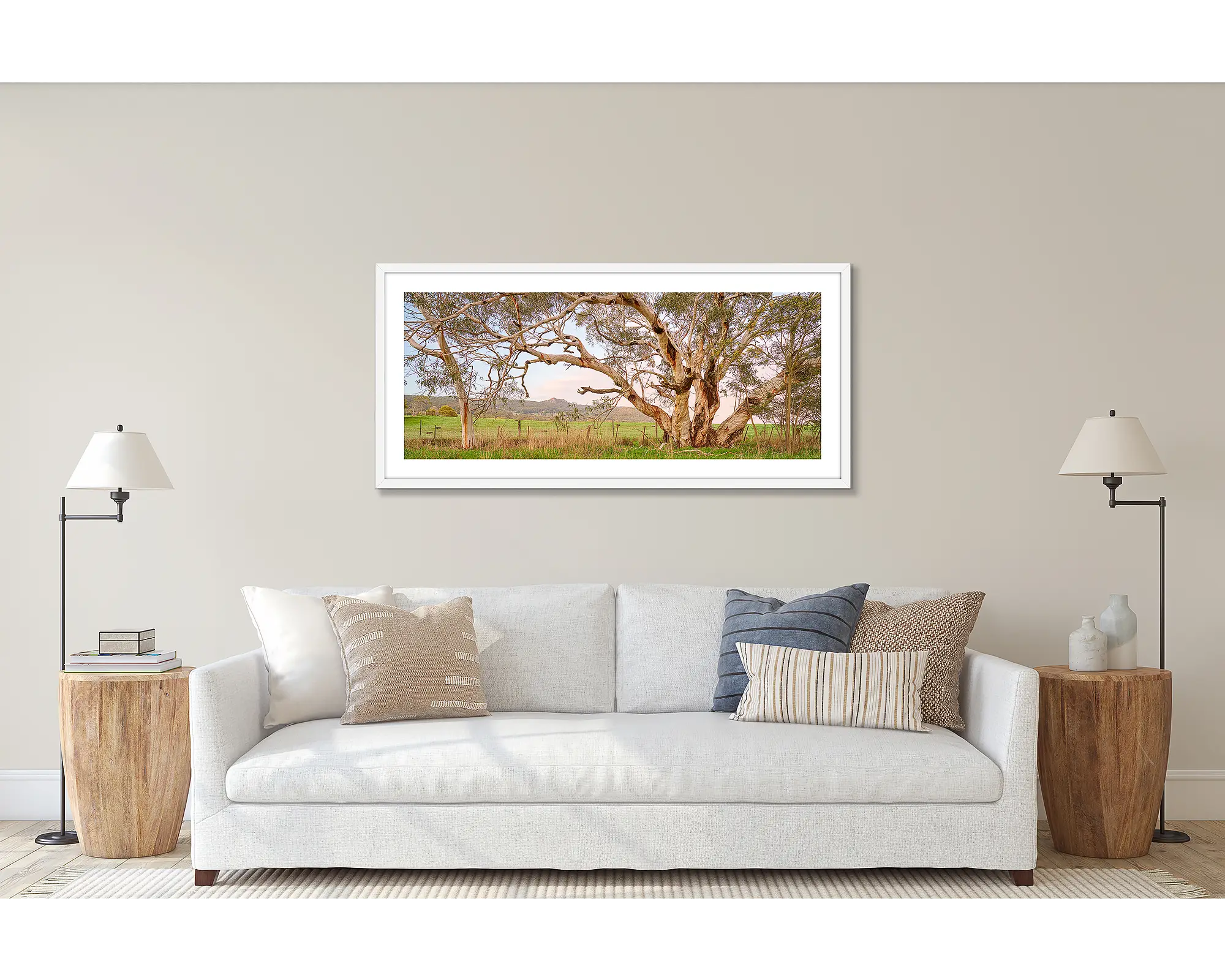 Roadside Beauty. Snow Gums beside a country road.