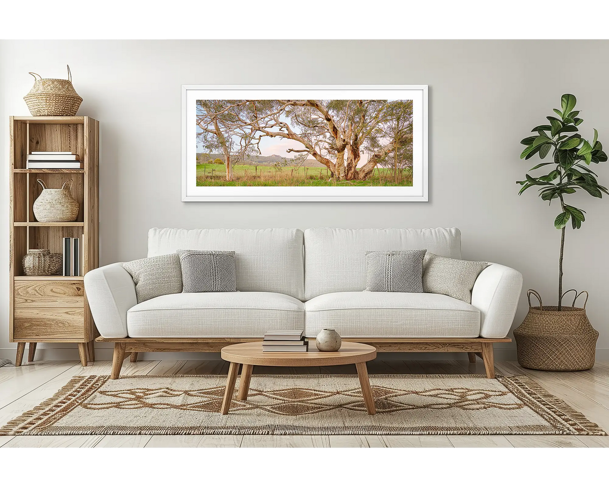 Roadside Beauty. Wall art print of a snow gum beside a country road, framed with a white frame and hung in a living room. 