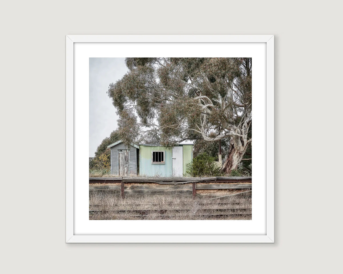 Framed photograph of the old Royalla train station with a large gum tree and a rural setting.