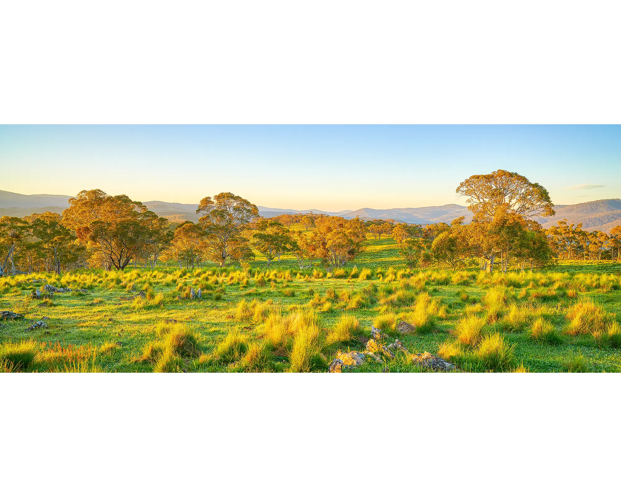 Rural Tranquility - Farm paddock at sunrise, Captains Flat, Southern Tablelands, New South Wales, Australia.