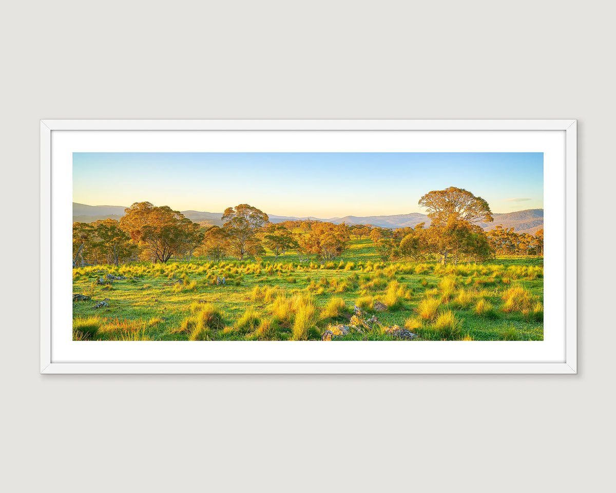 Framed photograph of rural scenery with trees, green grass and hills.