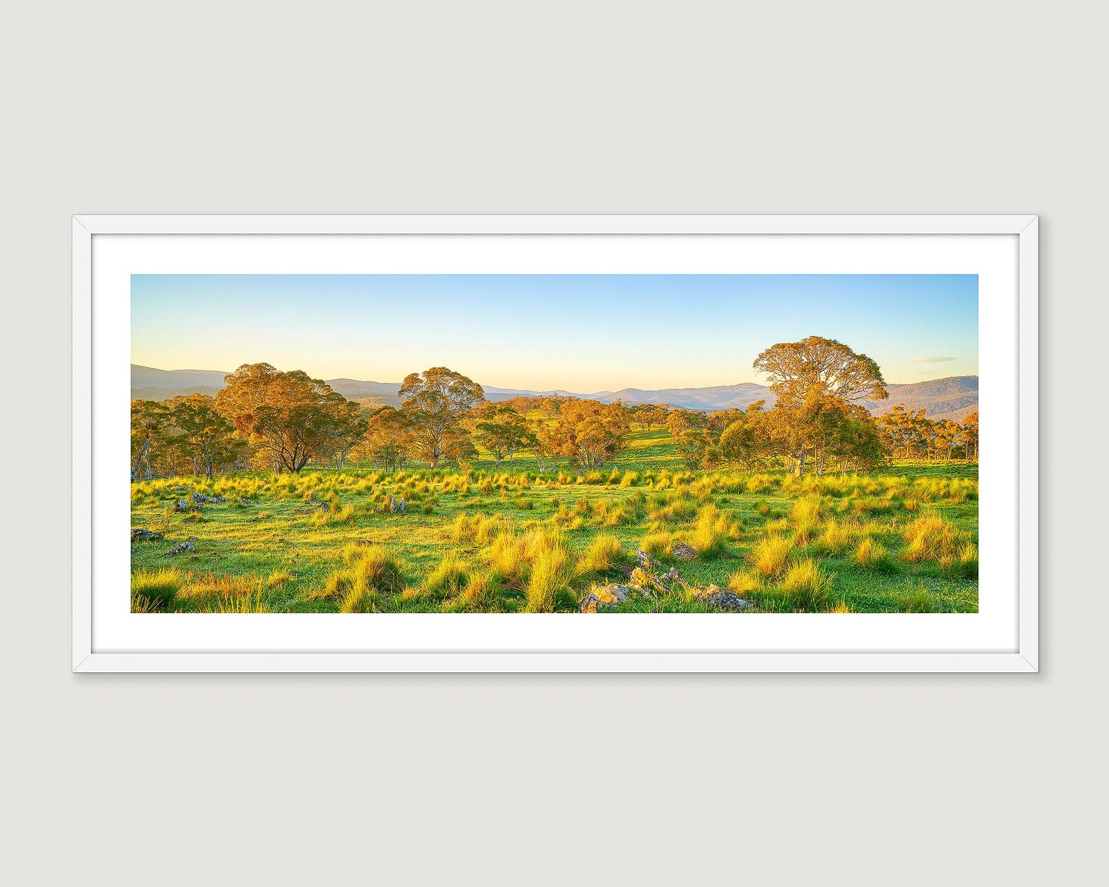 Framed photograph of rural scenery with trees, green grass and hills.