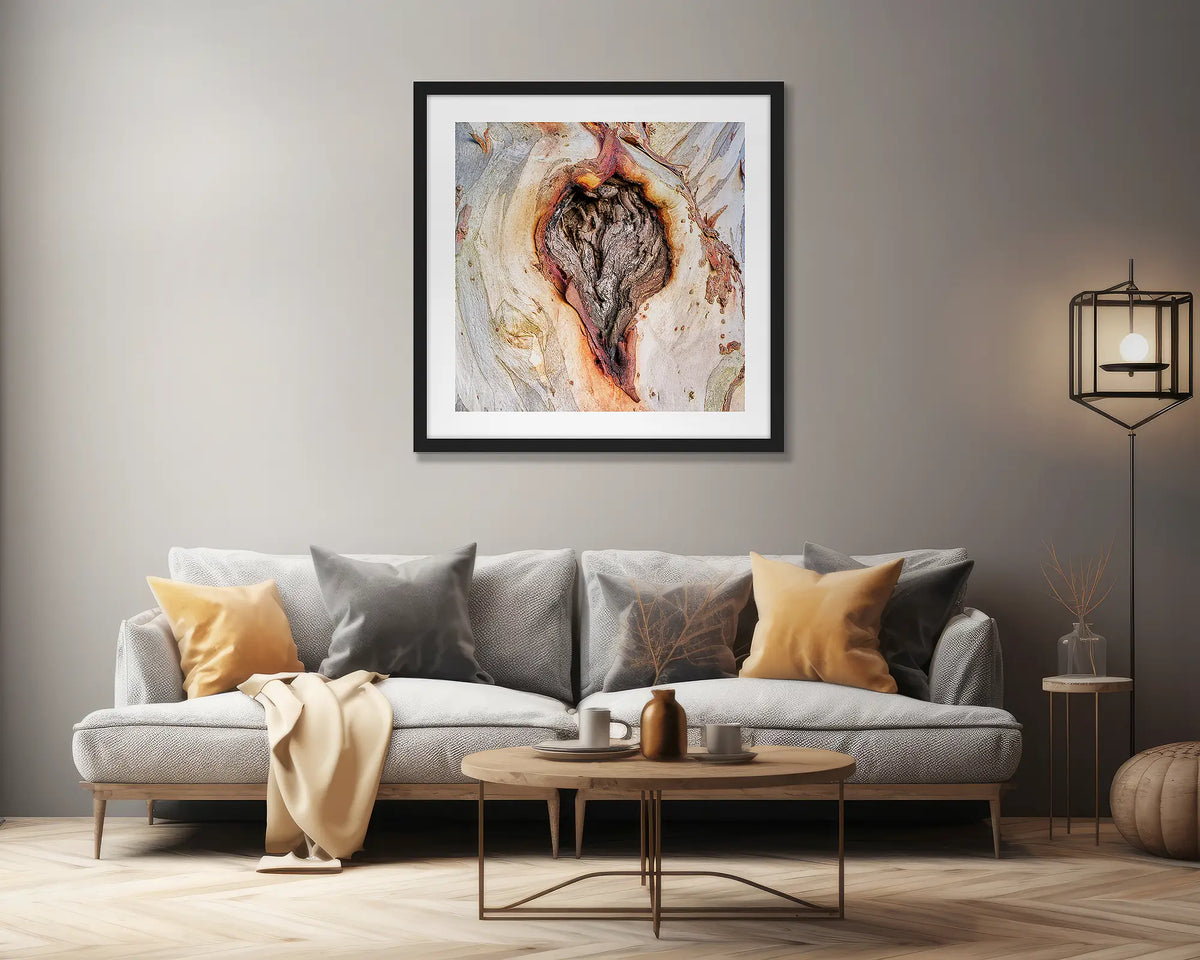 Scar Of Survival. Wall art print of close up snow gum bark, framed in a black frame and hung above a couch. 