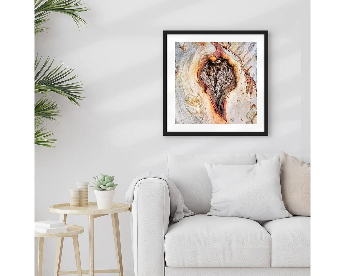 Scar Of Survival. Wall art print of close up snow gum bark, framed in a black frame and hung above a lounge room couch. 