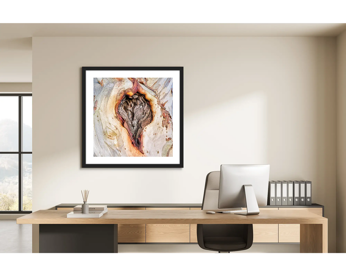 Scar Of Survival. Wall art print of close up snow gum bark, framed in a black frame and hung on the wall of a home office. 