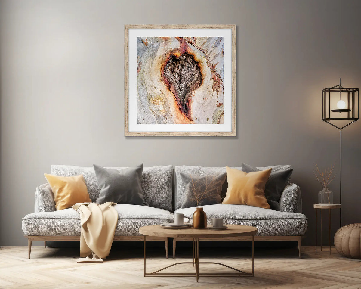 Scar Of Survival. Wall art print of close up snow gum bark, framed in a Tasmanian Oak frame and hung above a couch. 