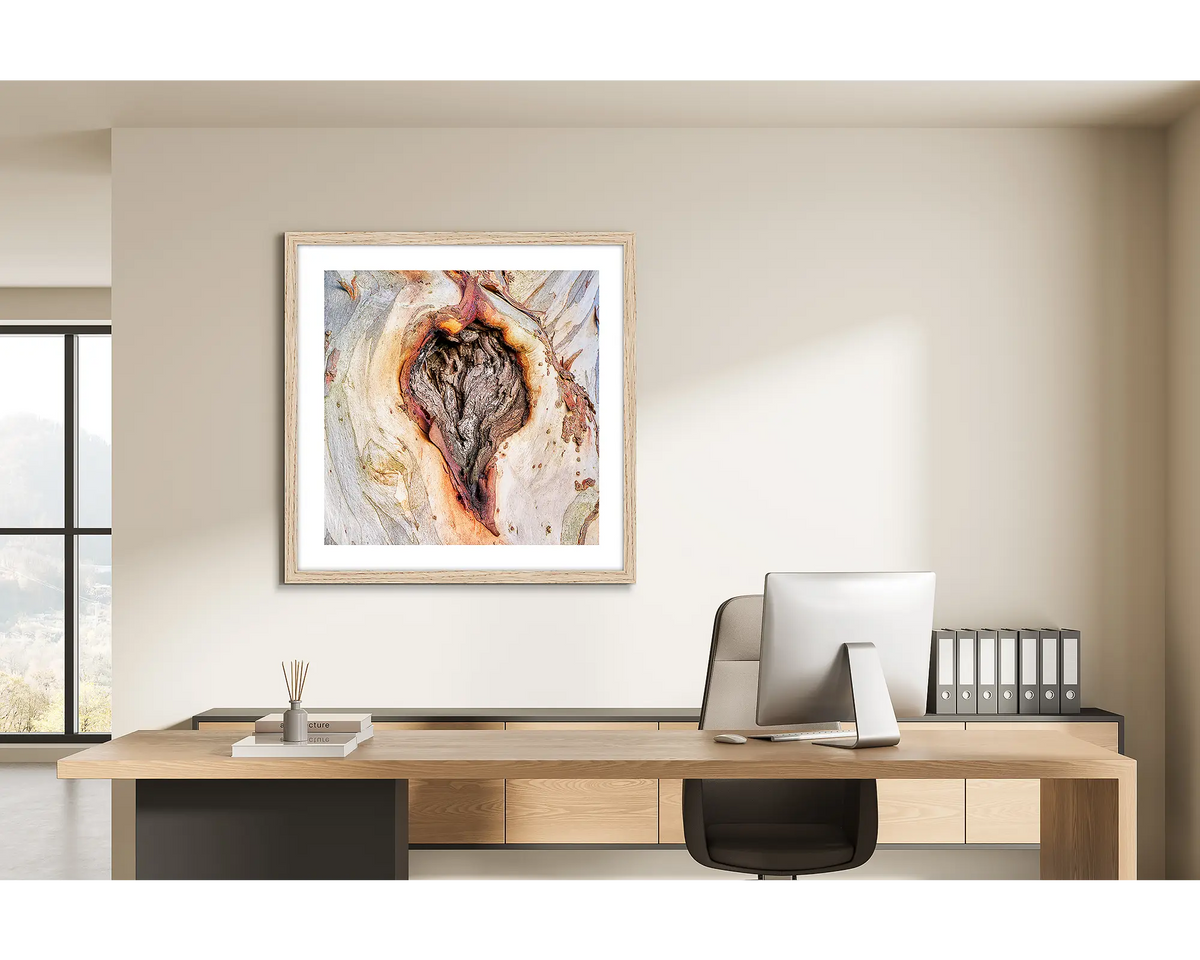Scar Of Survival. Wall art print of close up snow gum bark, framed in a Tasmanian Oak frame and hung on the wall of a home office. 