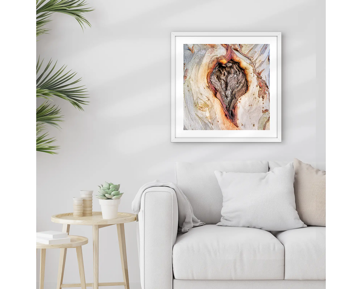 Scar Of Survival. Wall art print of close up snow gum bark, framed in a white frame and hung above a lounge room couch. 