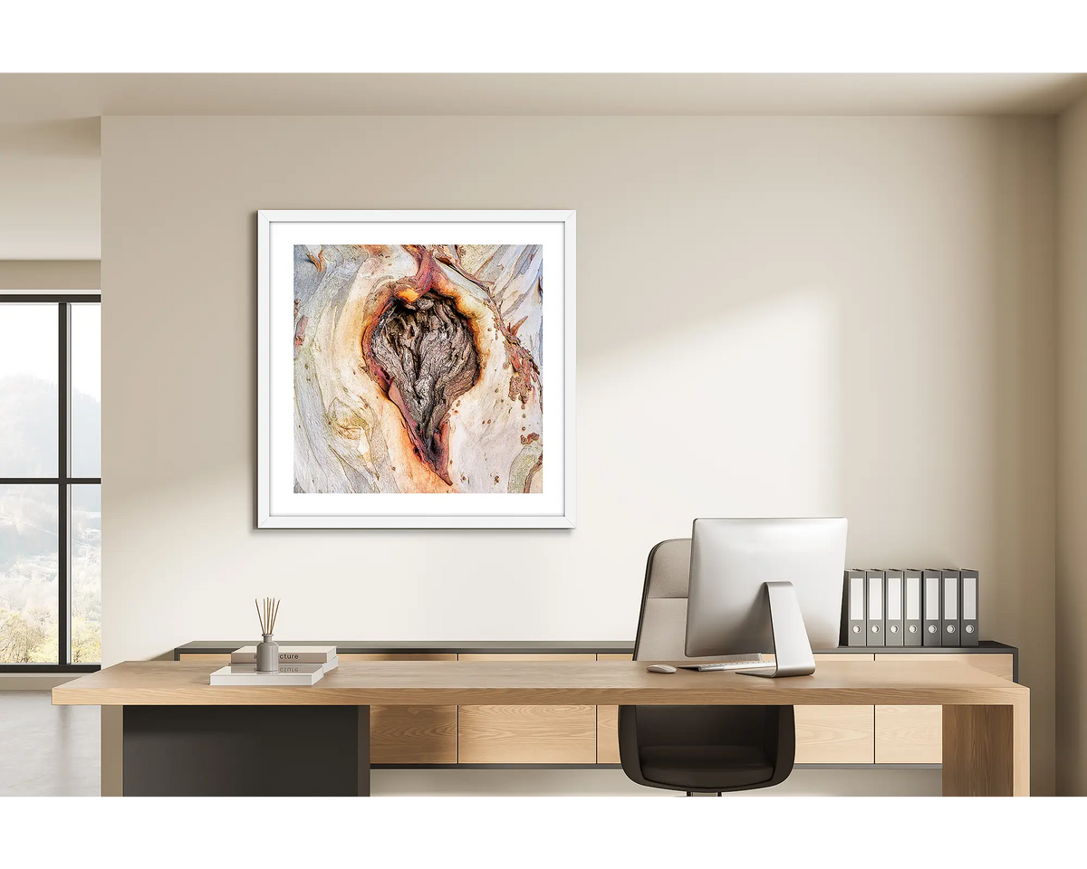 Scar Of Survival. Wall art print of close up snow gum bark, framed in a white frame and hung on the wall of a home office. 