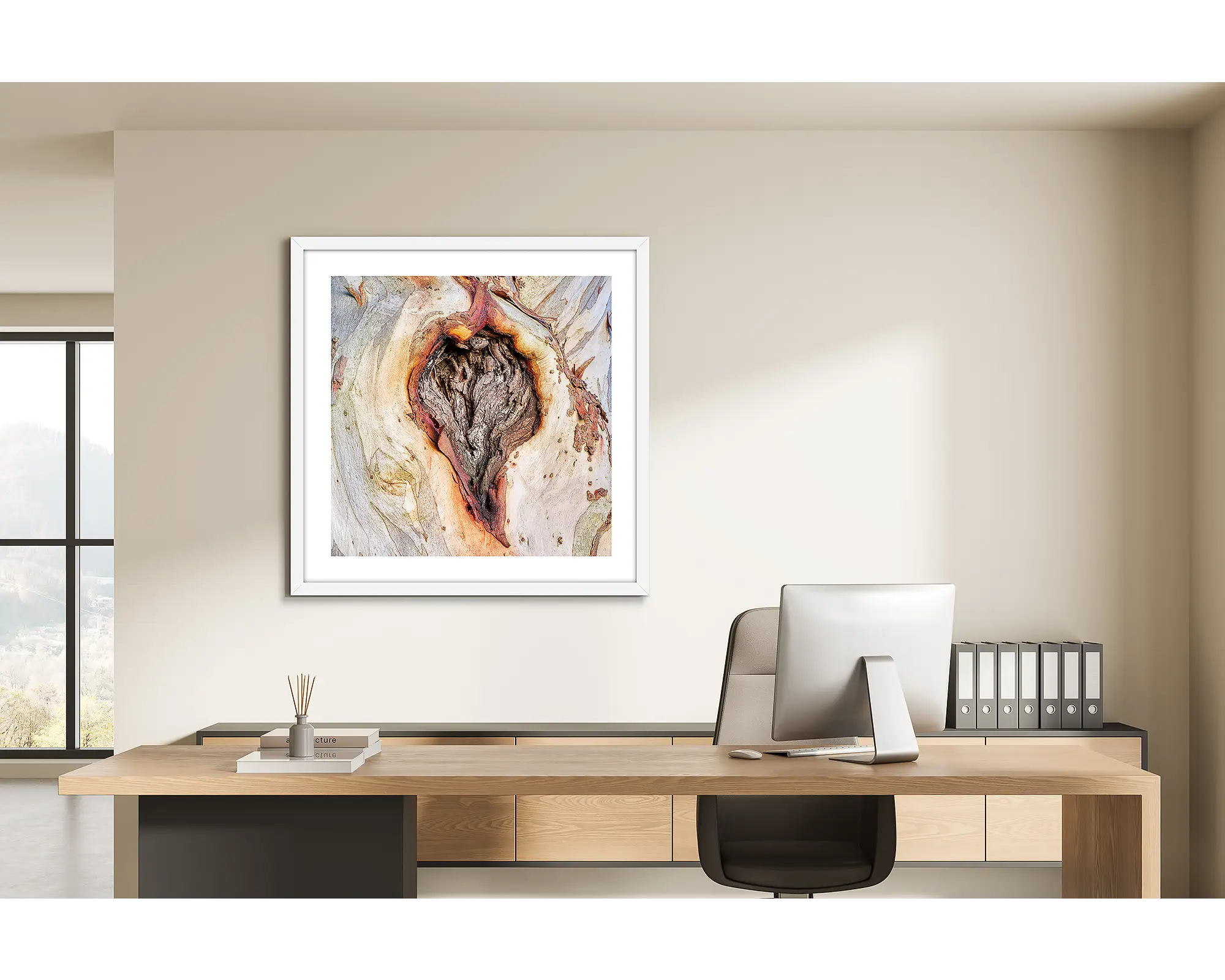 Scar Of Survival. Snow Gum bark on a tree in the Macedon Ranges.