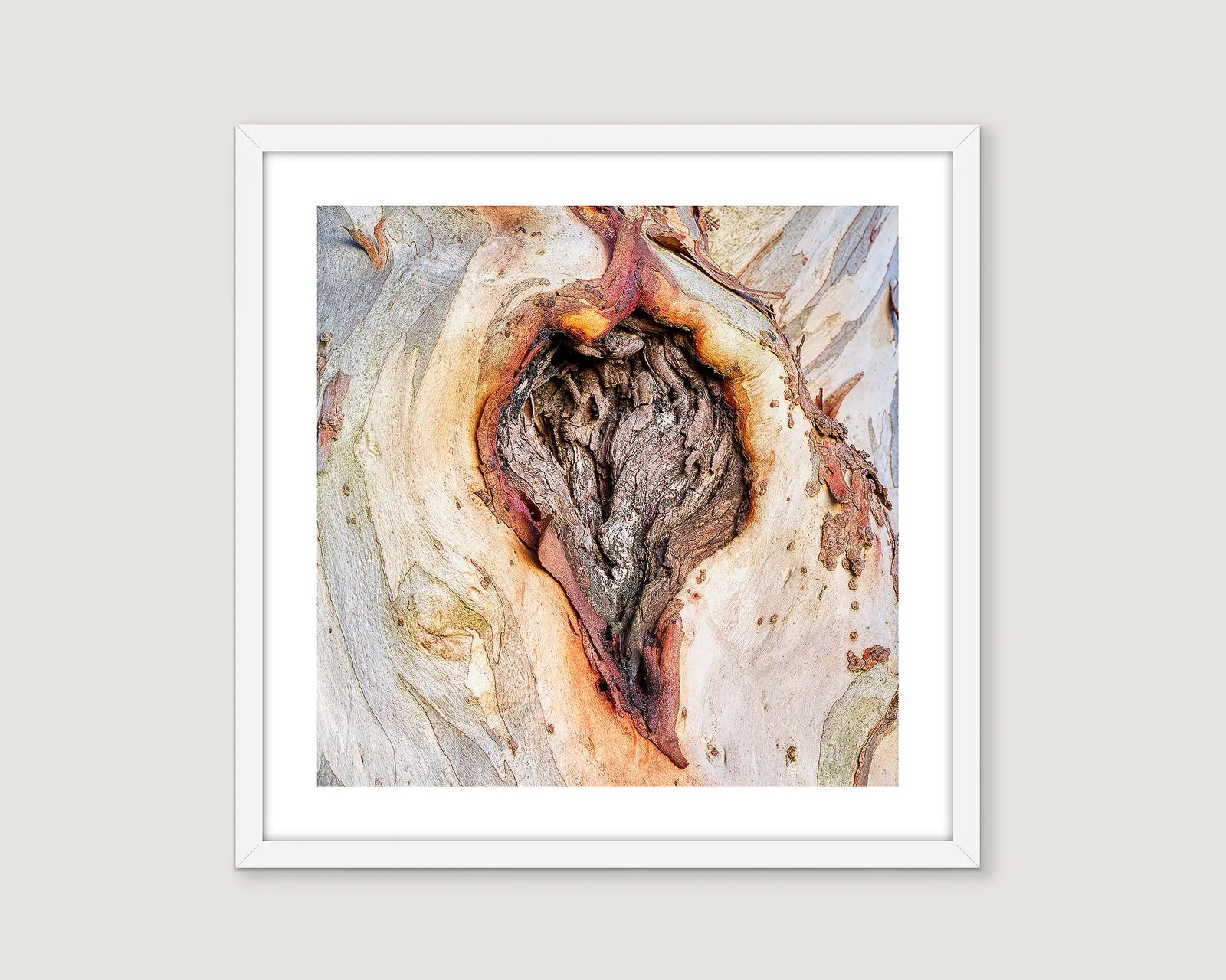 Framed abstract art print of a gum treet with swirling colours on a light grey background.