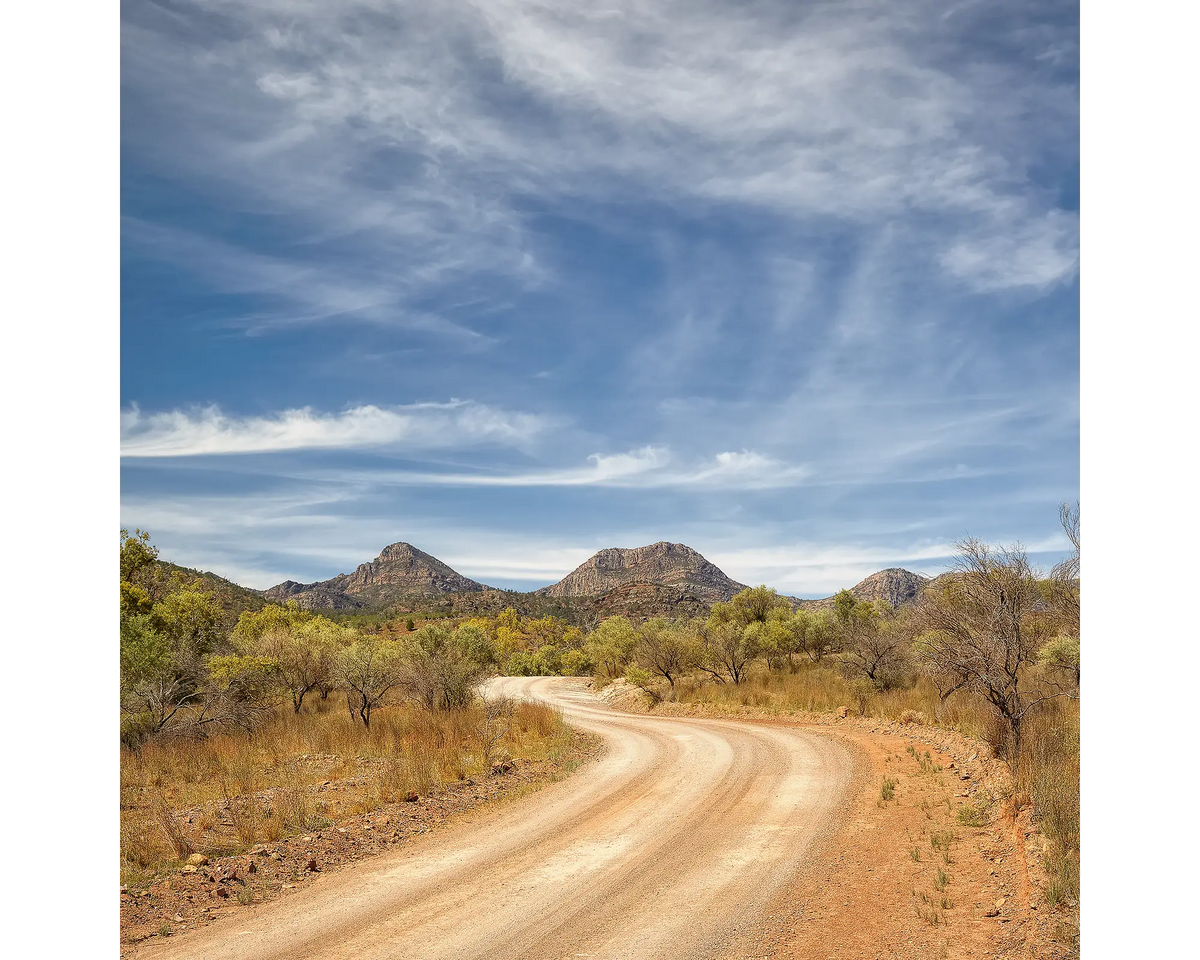 Scenic Drive. Winding dirt road leading to Wilpena Pound in the background, under a blue sky with clouds.