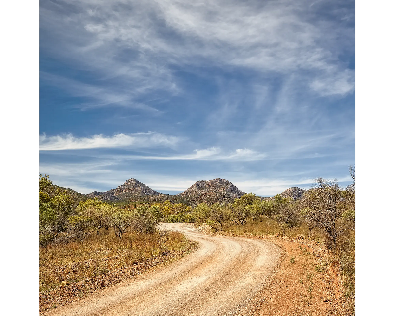 Scenic Drive. Winding dirt road leading to Wilpena Pound in the background, under a blue sky with clouds.