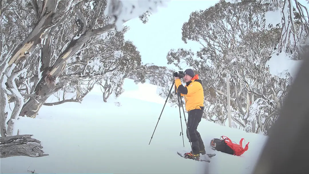 person standing in snow with camera on tripod taking photograph of snow gums