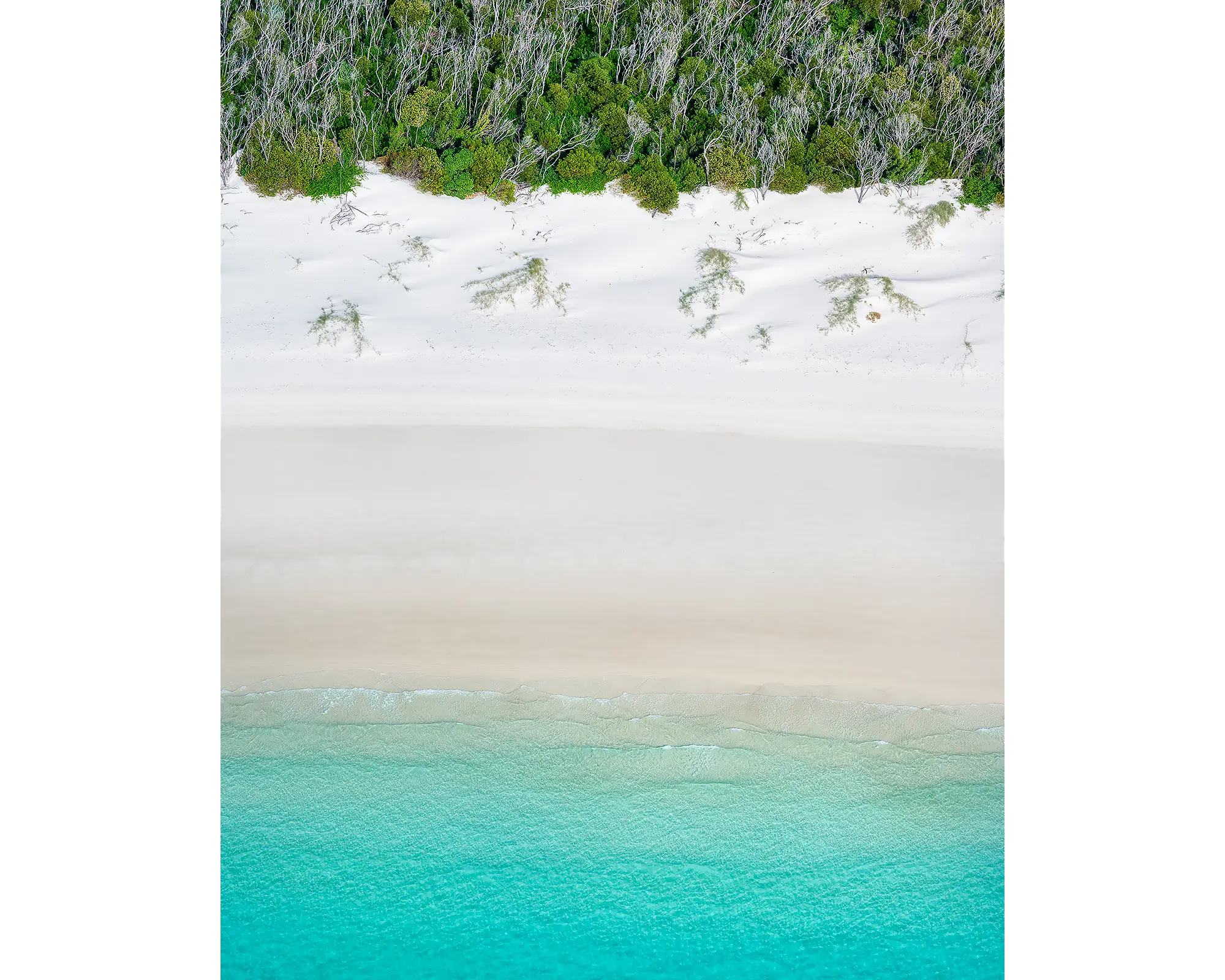 Sea Change. Aerial view of Whitehaven Beach, Queensland, Australia.