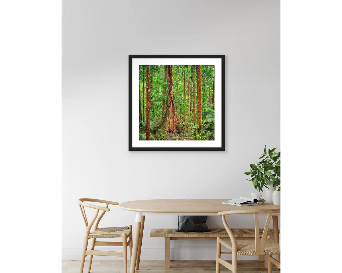 Seeking Sun. Daintree Rainforest artwork, with a black frame, hung above a kitchen table.