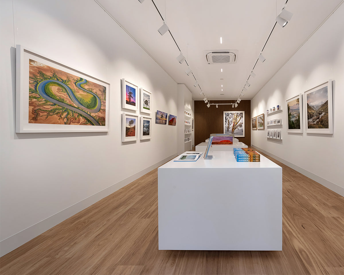 Serpent. Bends in King River, The Kimberley, Western Australia, on display in gallery entrance.