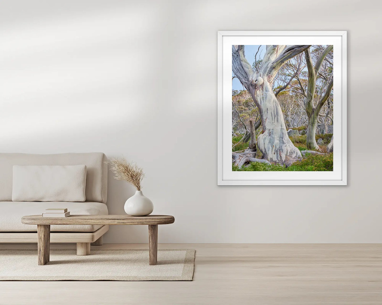 Shaped by Time. Snow gum in Kosciuszko National Park.