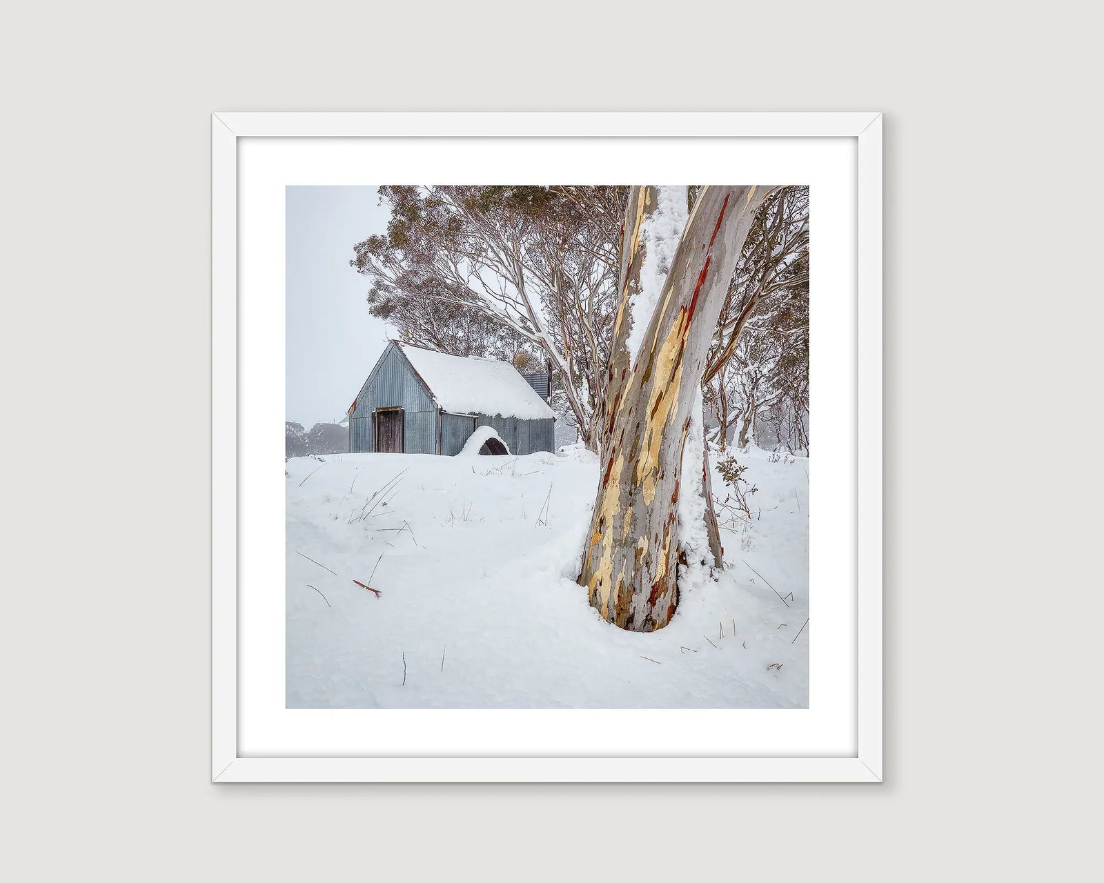 Framed photograph of a hut and snow gums in snow.
