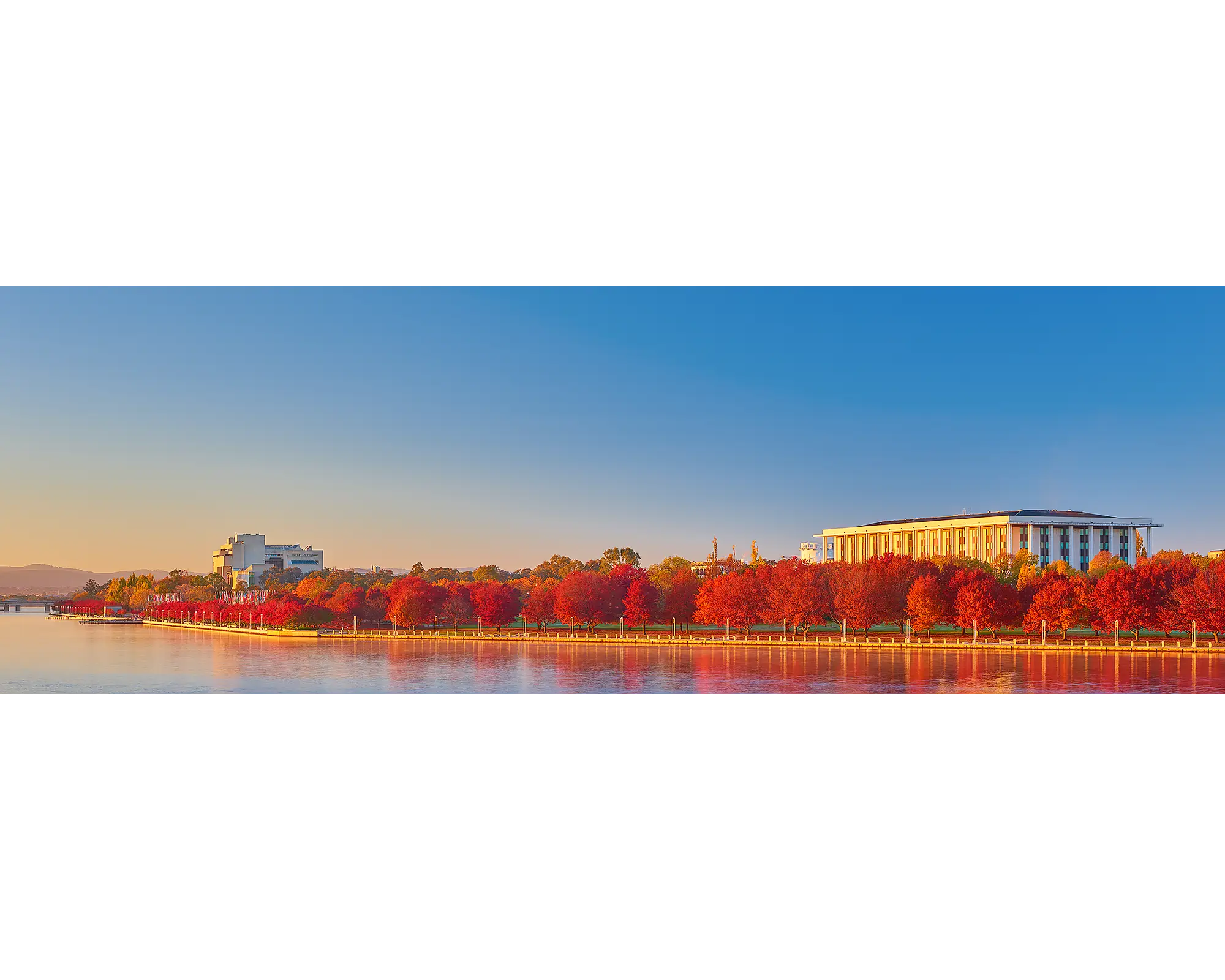 Simply Red. Autumn sunrise with red trees beside National Library and High Court, Lake Burley Griffin, Canberra.