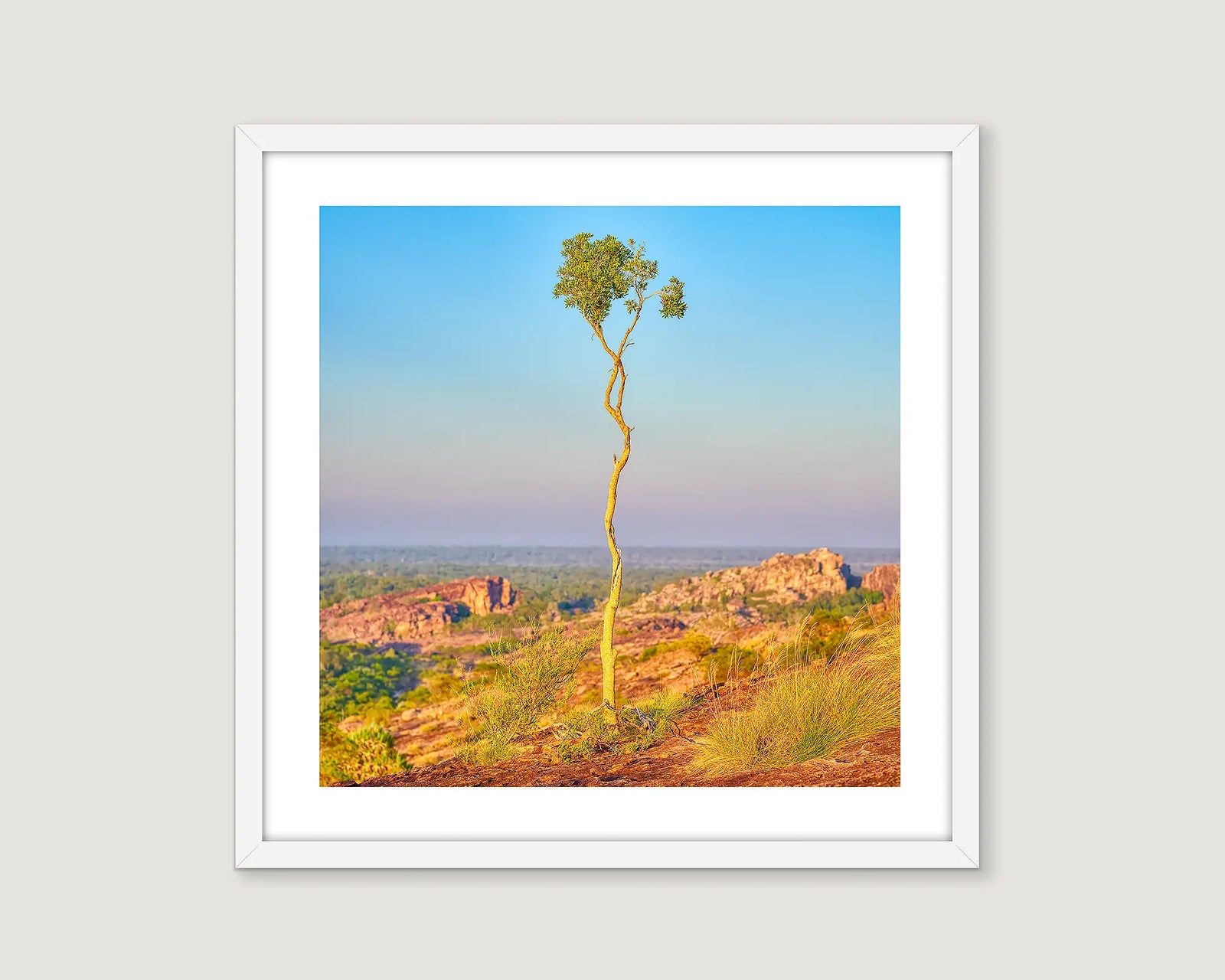 Framed photograph of a single tree in the outback and a blue sky.
