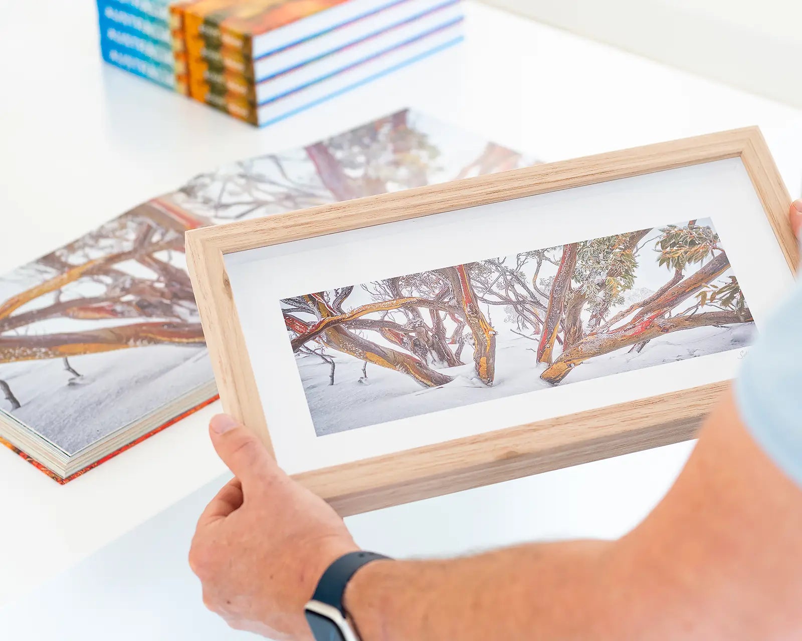 Small framed print featuring a snow gum covered in snow.