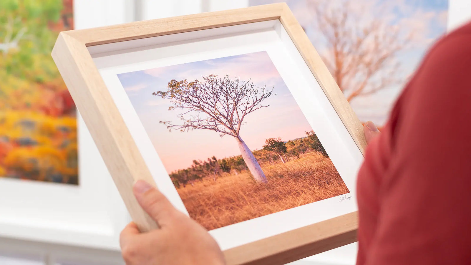 Person holding a framed photograph of a Boab tree at sunset.