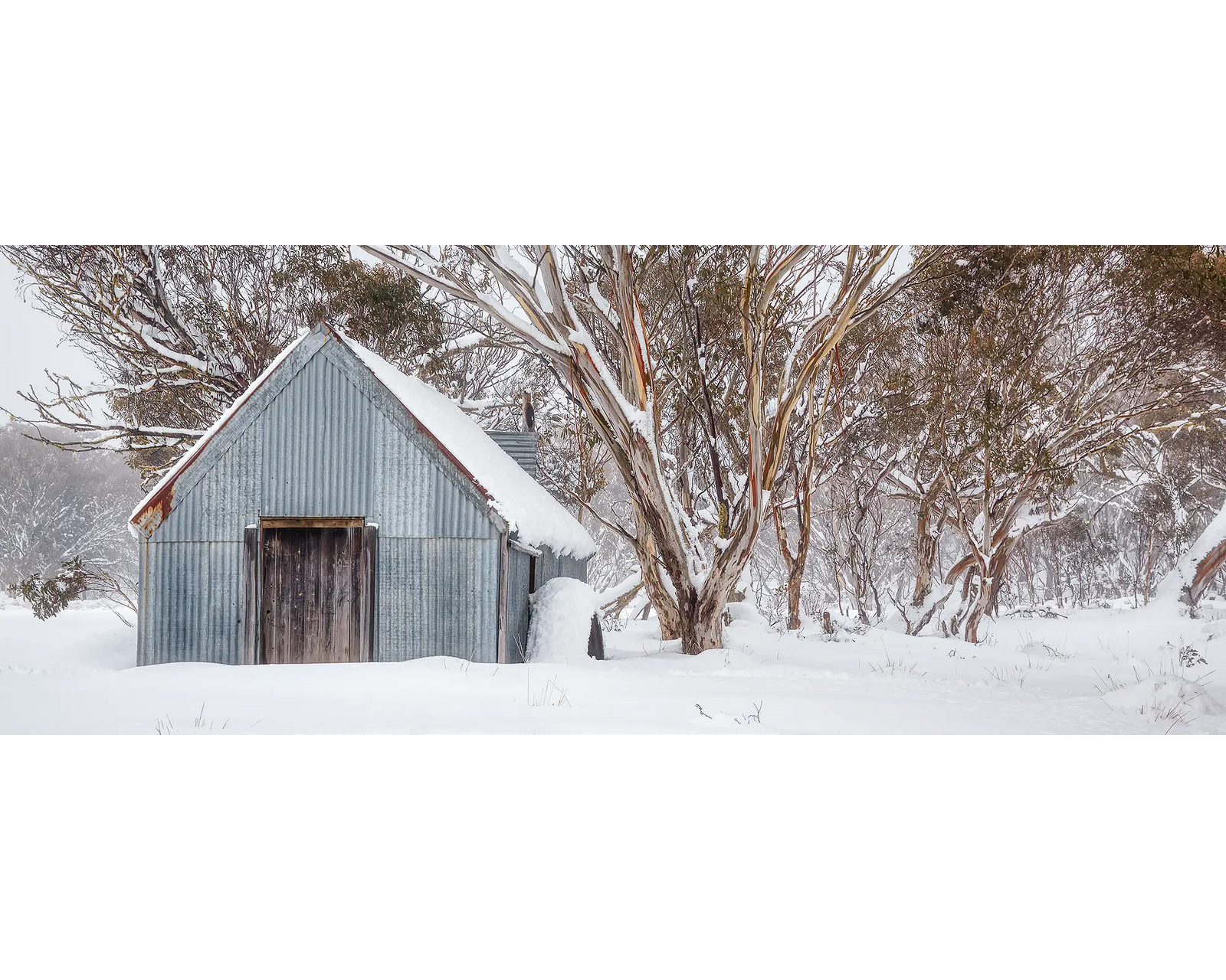 Snow at CRB Hut, Dinner Plain.