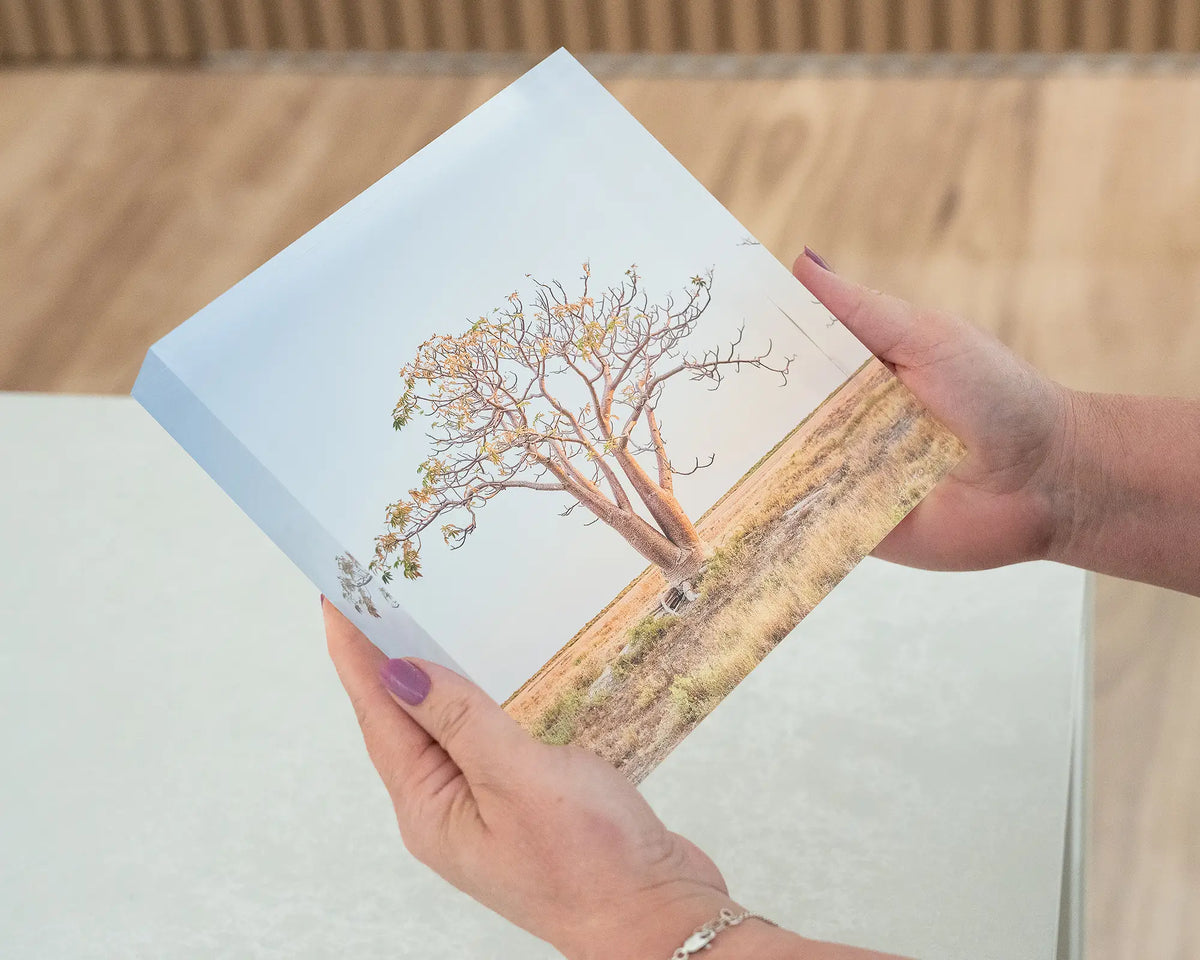 Solitary. 19cm acrylic block of a Boab tree, The Kimberley Western Australia, held in hands.