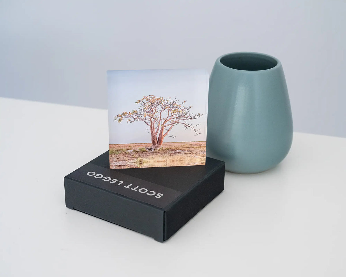 Solitary. Acrylic block of a Boab tree, The Kimberley Western Australia, styled on a gift box with a small vase.