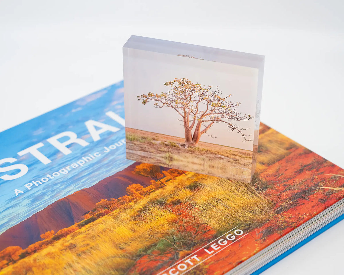 Solitary. Acrylic block of a Boab tree, The Kimberley Western Australia, styled with a SCOTT LEGGO Australia book.