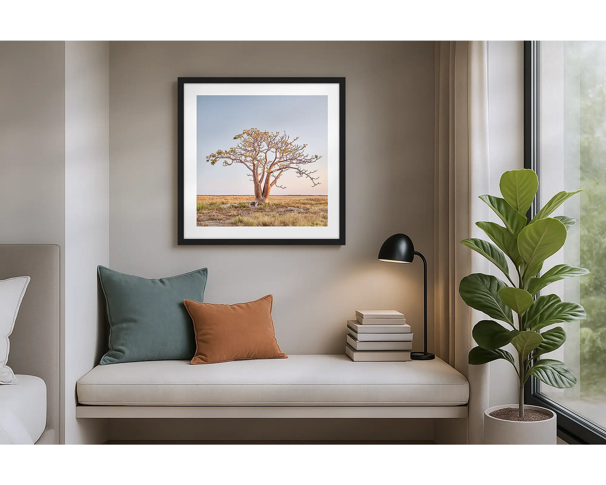 Solitary. Wall art print of a boab tree in the Kimberley, with a black frame, hung in an apartment. 