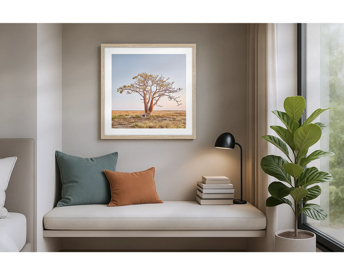 Solitary. Wall art print of a boab tree in the Kimberley, with a Tassie Oak frame, hung in an apartment. 