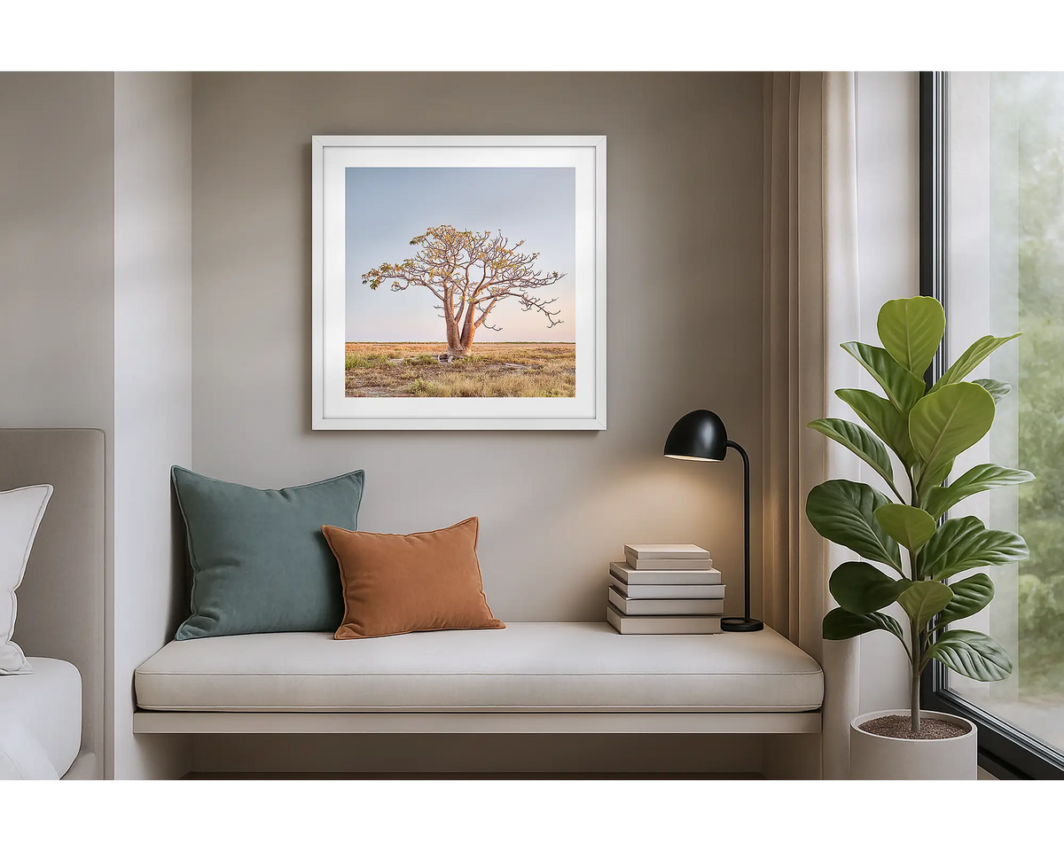 Solitary. Wall art print of a boab tree in the Kimberley, with a white frame, hung in an apartment. 