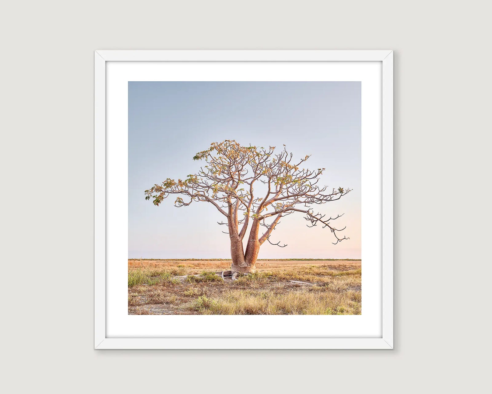 Framed artwork of a boab tree in a field with a clear sky.