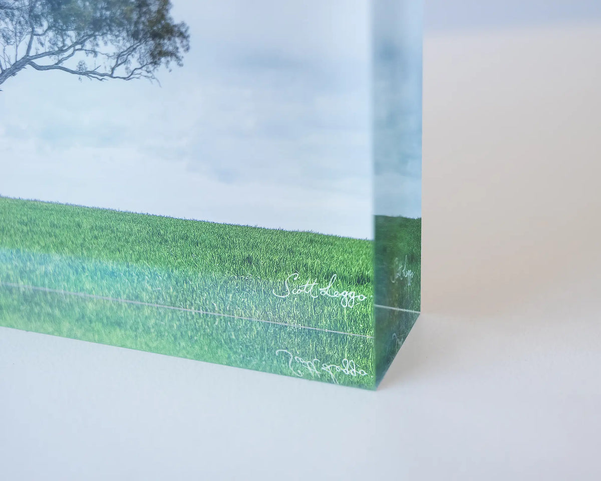 Solo. Gum Tree acrylic block, Wombat, New South Wales, corner close-up details.